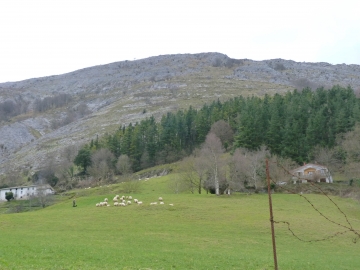 27-01-2013 10.09.44 Azpeitia Gipuzkoa Erlo,Kakuta,Xoxote