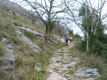 27-01-2013 10.26.47 Azpeitia Gipuzkoa Erlo,Kakuta,Xoxote