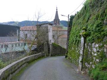 27-01-2013 9.47.02 Azpeitia Gipuzkoa Erlo,Kakuta,Xoxote