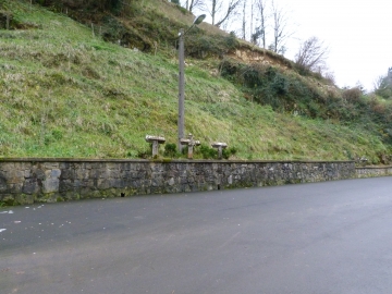 27-01-2013 9.50.39 Azpeitia Gipuzkoa Erlo,Kakuta,Xoxote