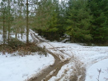 10-02-2013 10.57.01 Eskoriatza Gipuzkoa Kurutzeberri