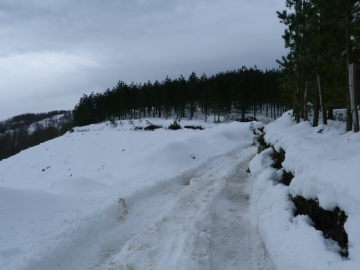 10-02-2013 11.32.36 Eskoriatza Gipuzkoa Kurutzeberri