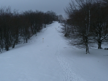 10-02-2013 14.00.00 Eskoriatza Gipuzkoa Kurutzeberri