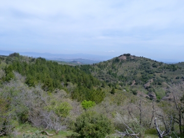 05-05-2013 12.48.47 Sorzano La Rioja Peña Moya