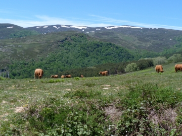 16-06-2013 15.03.12 Pto Estacas de Trueba-Quisicedo Nevero del Polluelo