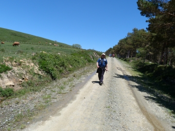 16-06-2013 15.03.20 Pto Estacas de Trueba-Quisicedo Nevero del Polluelo