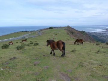 09-02-2014 11.55.18 Hondarribi-Pasaia Camino del Norte Jaizkibel