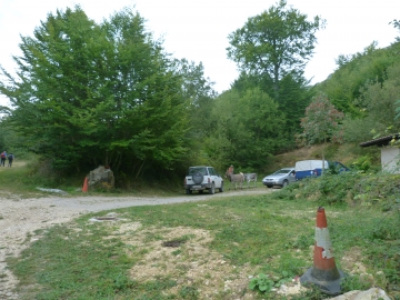 P1170430