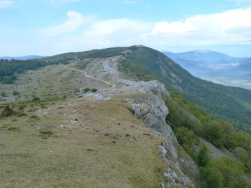 P1170456