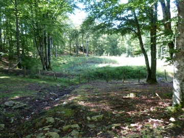 P1170477