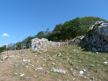 P1170510