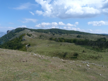 P1170518