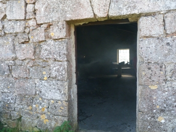 P1170533