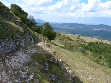 P1170546
