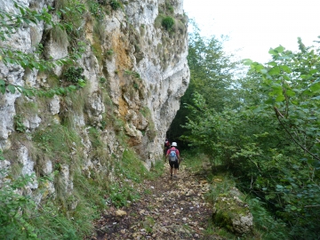 P1170551