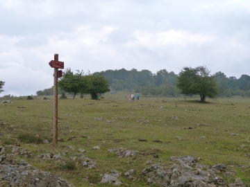 P1170576