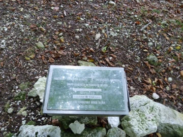 P1170589