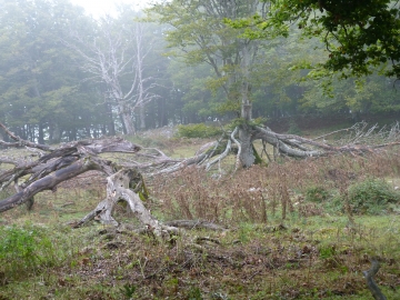 P1170593