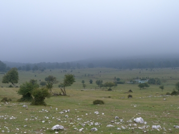 P1170620