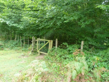 P1170628