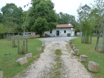 P1170636