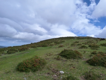 P1170737