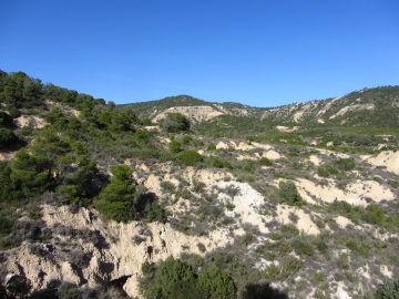 042 Vistas. IMG_5309