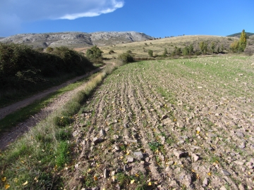 097 Vistas. IMG_5383