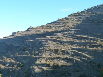 P1180356
