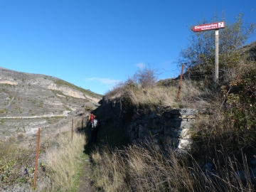 P1180357