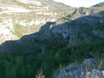 P1180362