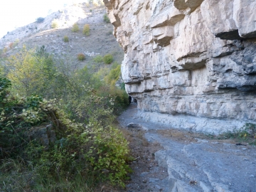 P1180377