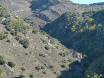 P1180385