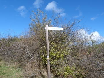 P1180392