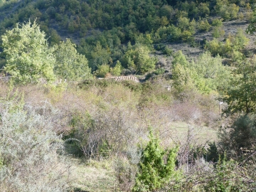 P1180394