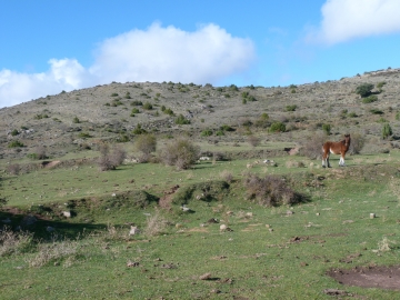 P1180400