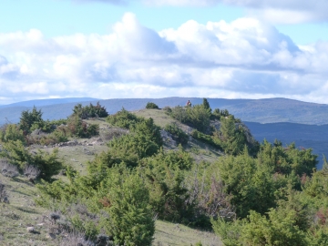 P1180407