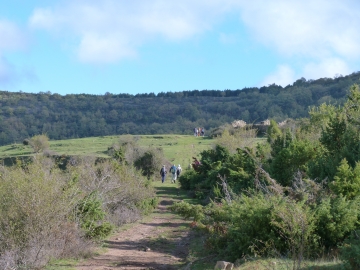 P1180423