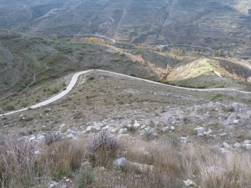 P1180453