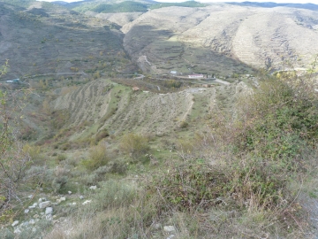 P1180456