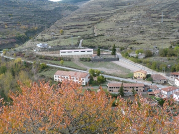P1180460
