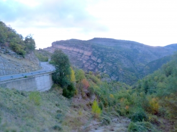 P1180495