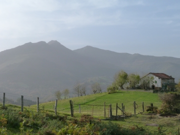 P1180769