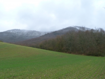 P1180999