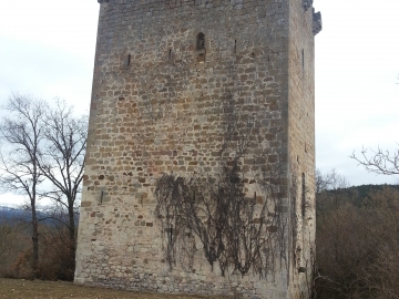 20150301_100425