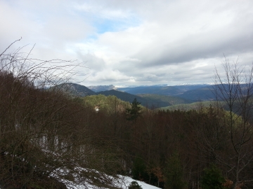 20150301_120352