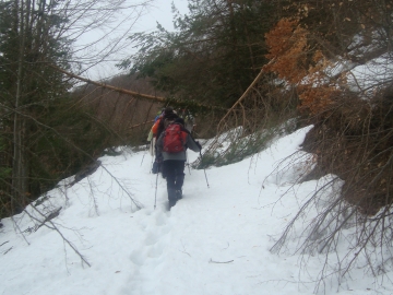 DSC05421