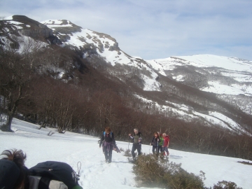 DSC05445