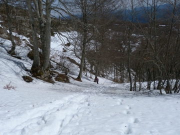 P1200231