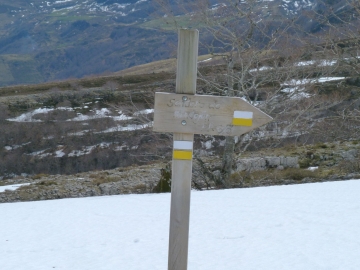 P1200236